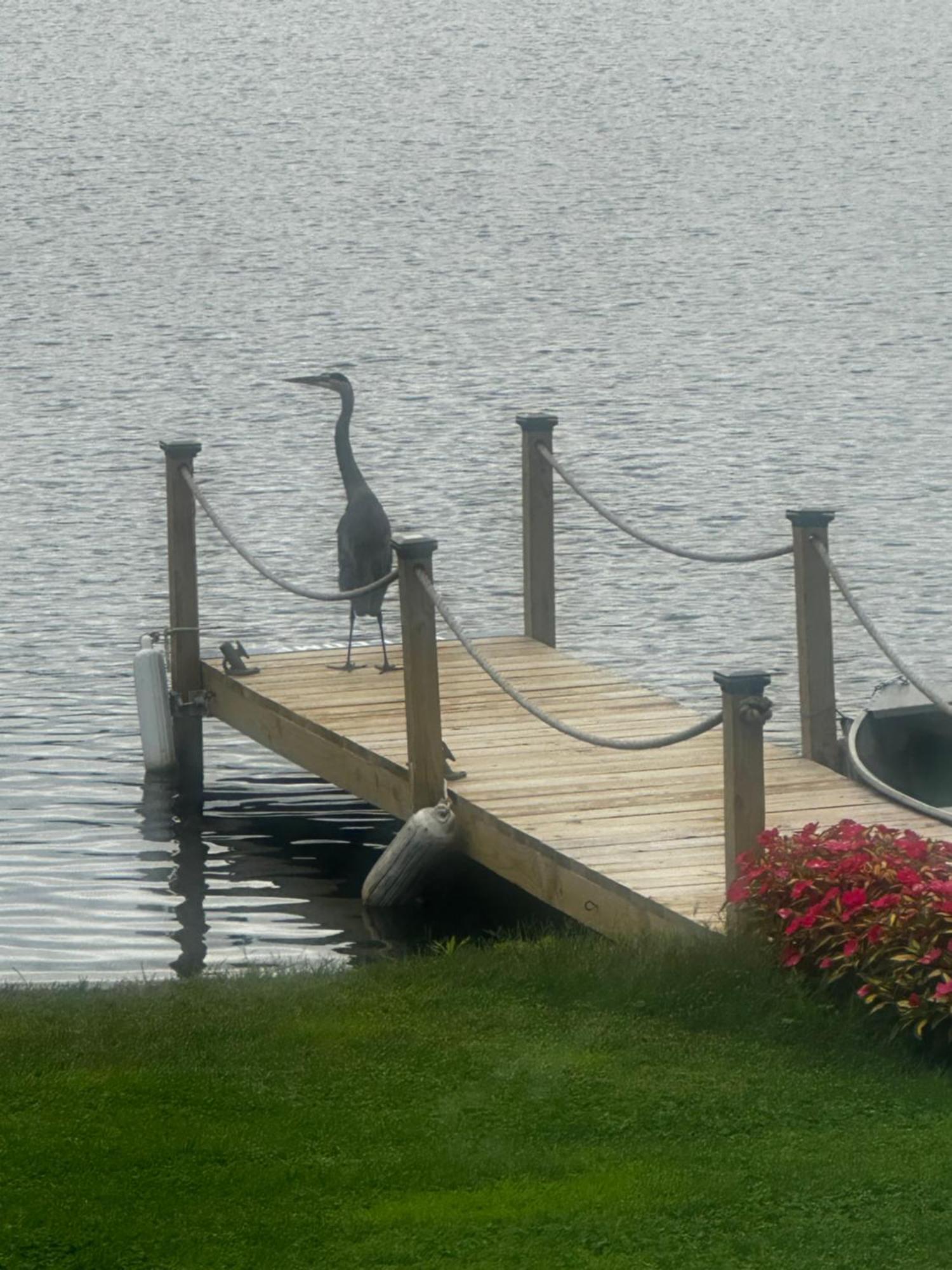 Welcome To The Lake Northwood Exterior foto
